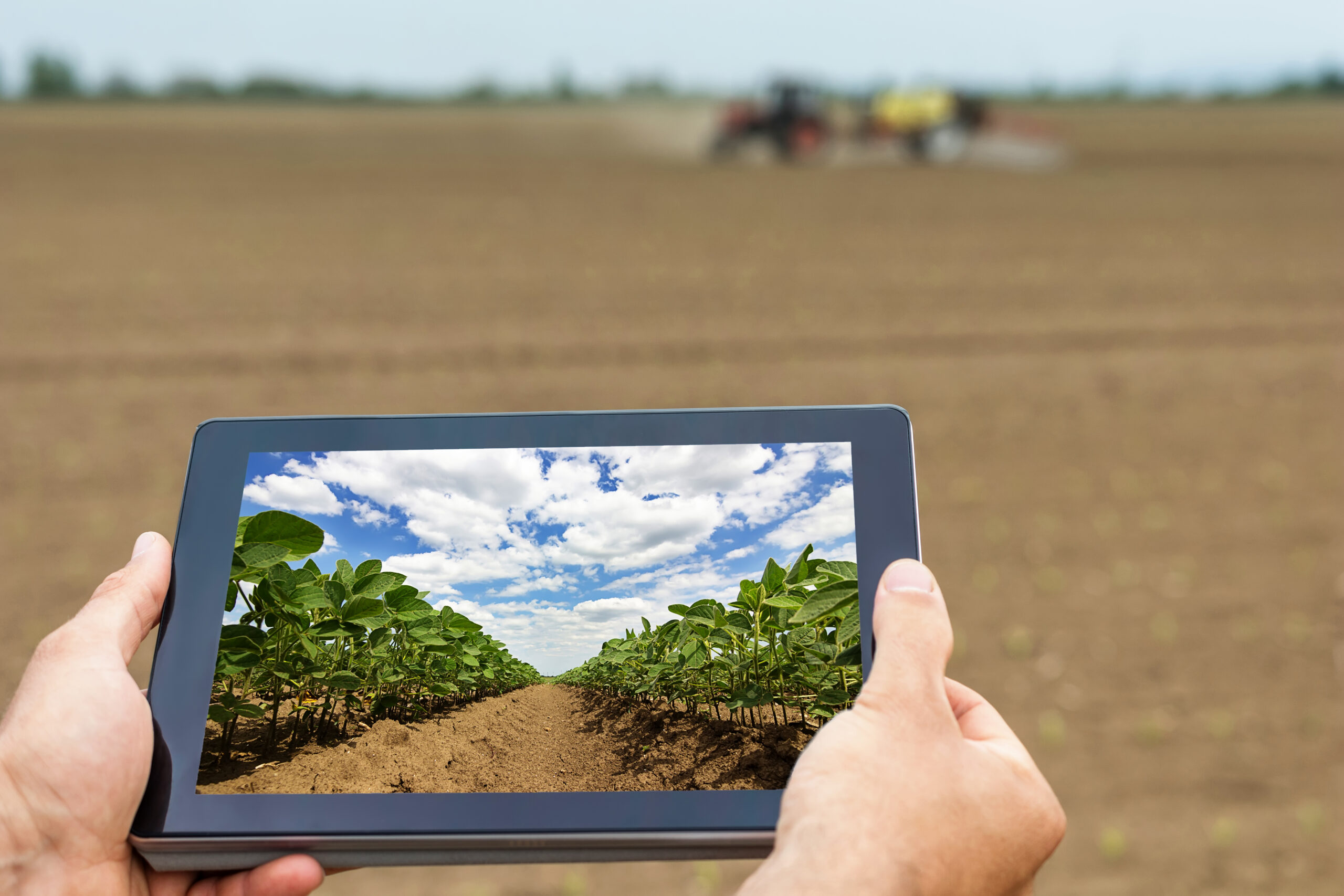 Big Data é aliado para agregar valor às cadeias produtivas agrícolas e reduzir desperdícios de alimentos